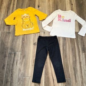 Carter’s & Gap Long sleeve shirts and Jegging Set Size 6
